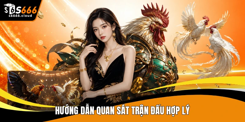 Hướng dẫn quan sát trận đấu hợp lý